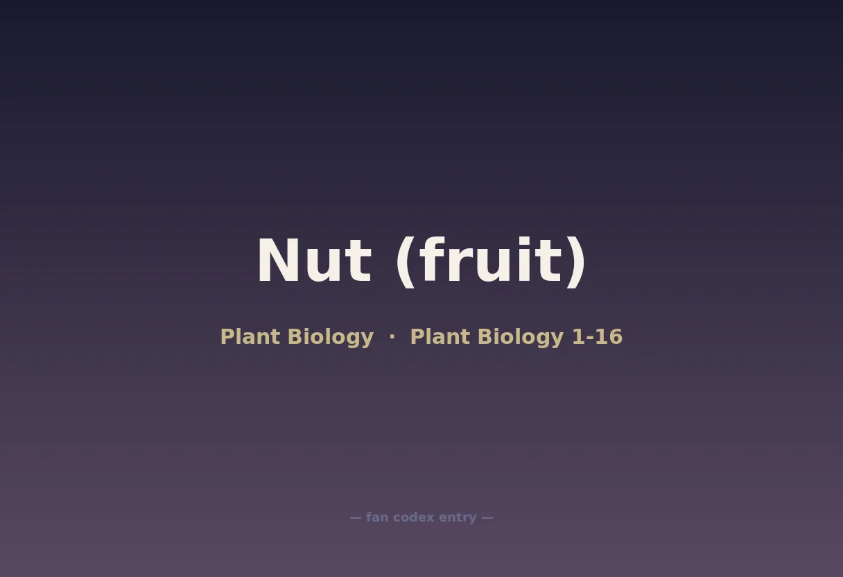 Nut (fruit)