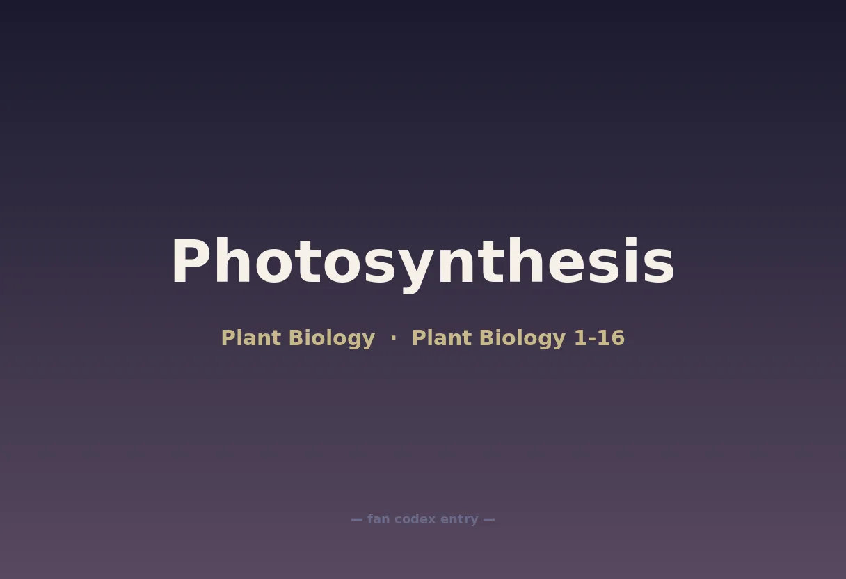 Photosynthesis