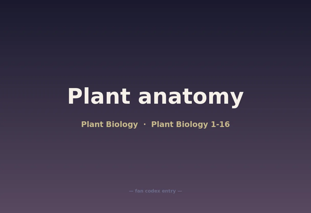 Plant anatomy