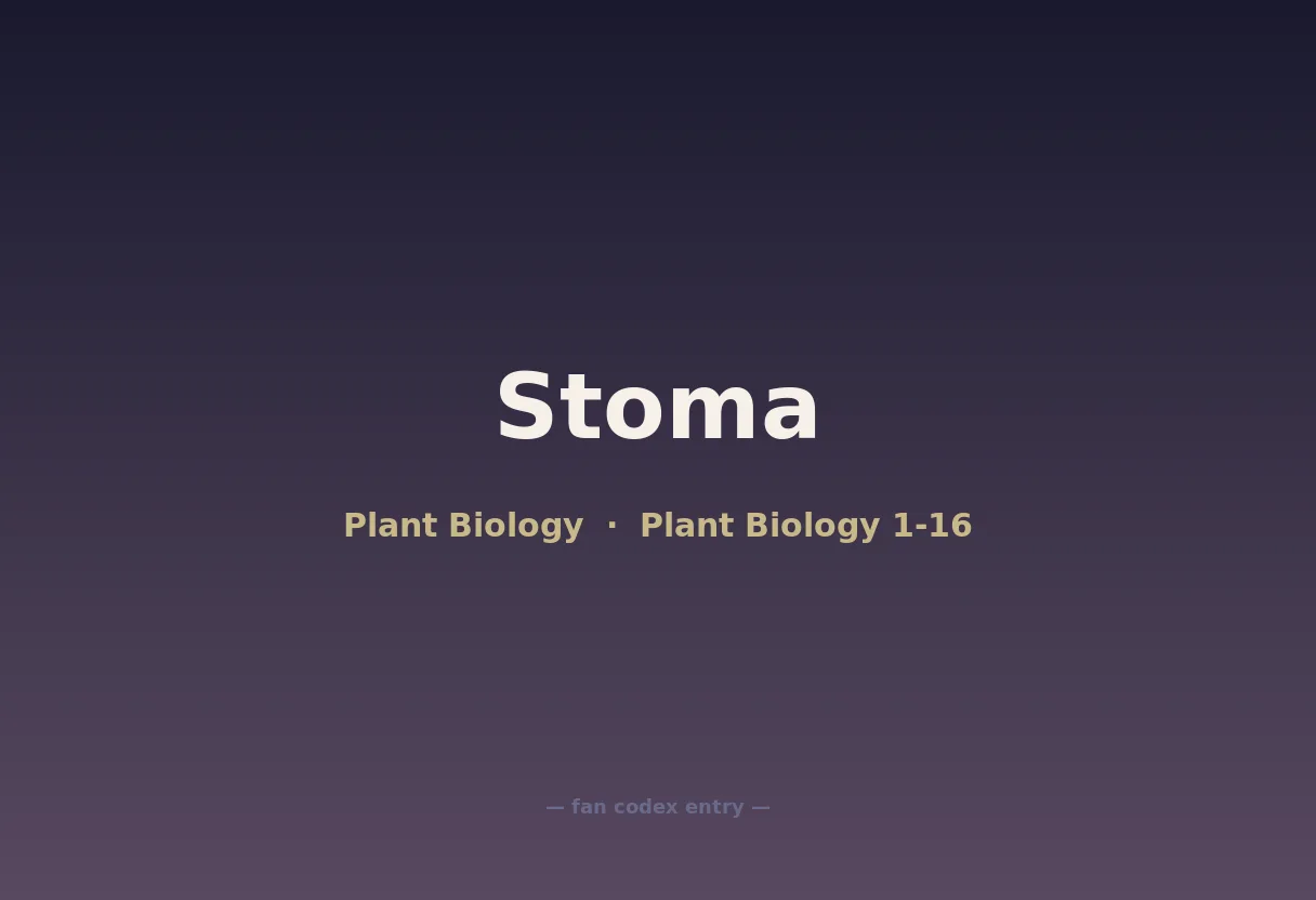 Stoma