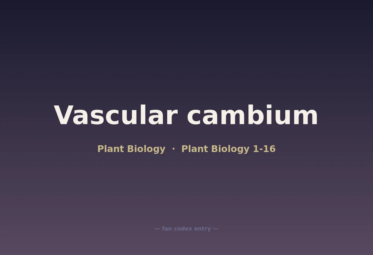 Vascular cambium